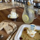 허니홈비(강릉본점) | 강릉 벌집 강릉 벌꿀 아이스크림 허니홈비 강릉본점