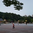 분당중앙공원 배드민턴장