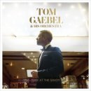 Tom Gaebel / Words 이미지