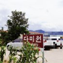 (주)다미원