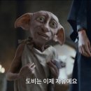 더존참치 이미지