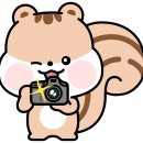케이티희망지음