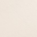 강남 요미독앤캣 강아지 분양 고양이 분양 이미지