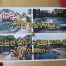 올레하우스산방산온천리조트