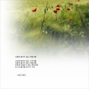 그물에걸리지않는바람처럼