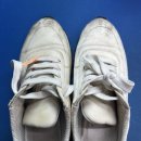 양지명품세탁소 이미지