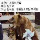 우리 윈드들 주접짤이 시작됐군요 이미지