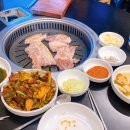 돈마마 - 김포시 | 돈마마