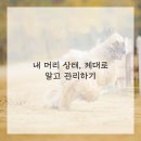 더꿈헤어 이미지