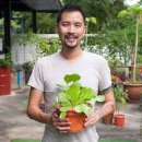 시티농장 이미지