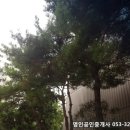 구암동466 이미지