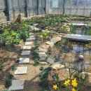 금봉자연휴양림 이미지