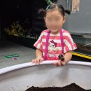 제주평화박물관(휴관) | 양주 실내 아이랑 가볼만한곳 [곤충 박물관] 만져보기, 먹이주기 체험 가능