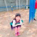 강송정 Daum카페