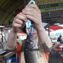 훼미리호 좌대낚시터 이미지