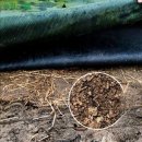 방초농장 | 잡초 제초 매트로 텃밭 관리 쉽게 하기