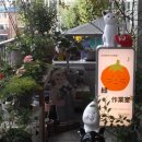 삼육사로02 네이버블로그