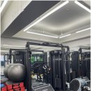 피지오숲 이미지