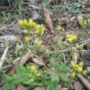 영월 동강오토캠핑장 이미지