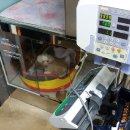 진보동물병원 이미지