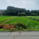 봉암3리경로당 네이버블로그