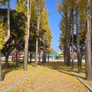 점곡초등학교 이미지