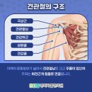대치경희한의원 이미지
