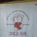 용동농장 | 천안근교 아이와 갈만한곳 사과따기 그림그리기 인스타용 사진찍기 좋았다