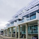 비놀리안 이미지