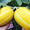 경북농장 이미지