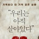 33 이미지