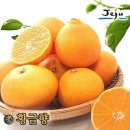 올찬 쇼핑하우