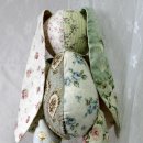 Honey Bunny 이미지