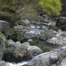 춘천 계곡민박 이미지