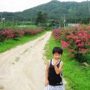 사슴이랑 배랑 농원 이미지