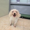 세븐 일레븐 포항연일점 이미지