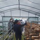 거제시장애인부모회 이미지