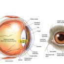코끼리동물병원 이미지