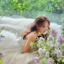 현하우스 | 웨딩 촬영(2)-누아스튜디오(현 노우드하우스) 촬영 후기