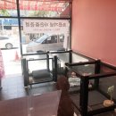 명랑도그 이미지