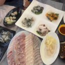 불타는조개 | 삽교호 조개구이 맛집 보경이네불타는조개구이 야장 후기 내돈내산 (대하, 회, 가격, 주차)