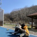 군산스포츠클라이밍센타
