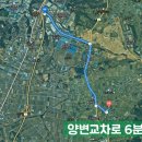 안성교차로(동측)