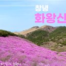 제 571회 2025년 04월 10일 경남 창녕 화황산 진달래산행 이미지