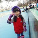 월드컵인라인스케이트장 이미지