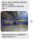 시흥 은계 와이존 테라피 후기 더스무스왁싱와이존테라피 시흥은계점