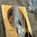 영일낚시 - 포항시 남구 상대로 156 | 영일낚시