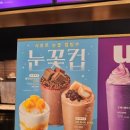 투썸플레이스(전원마을점) | 투썸 신메뉴 우베라떼 솔직한 후기, 우베 뜻