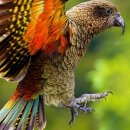 노두농장 이미지