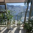 1871커피 이미지